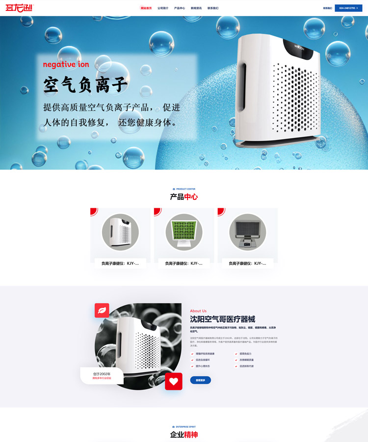 定制开发型网站