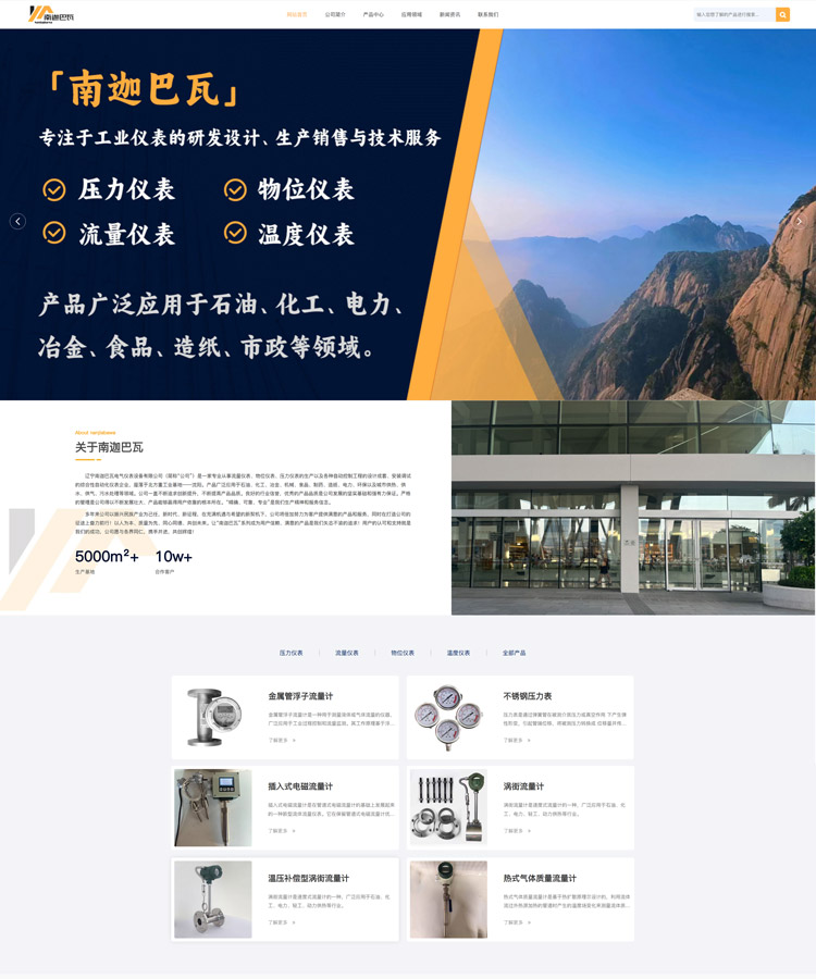 定制设计型网站